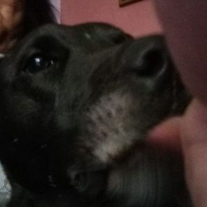 Meet your Posher, Patty